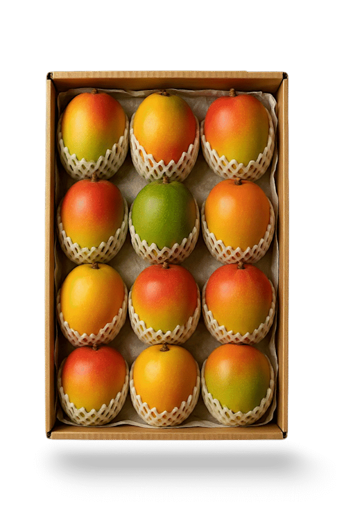 A box of 12 neatly packaged appetizing mangoes