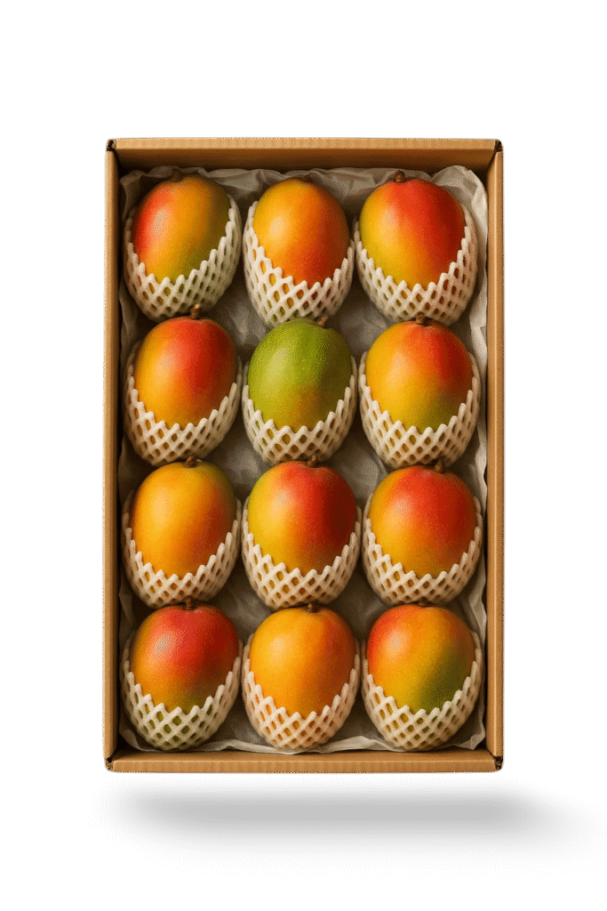 A box of 12 neatly packaged appetizing mangoes