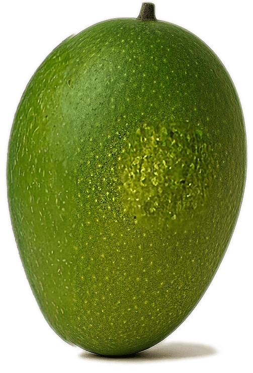 One green, unripe, mango