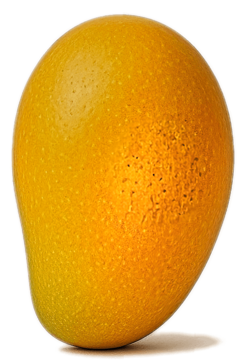 One orange, medium ripe, mango
