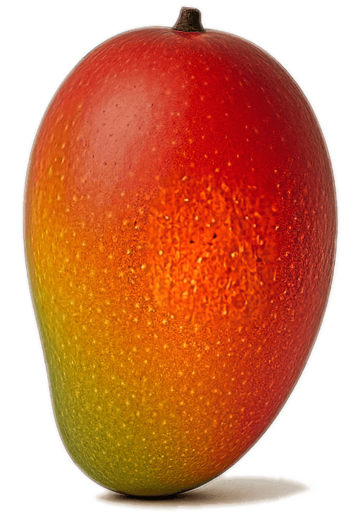 One red, ripe, mango